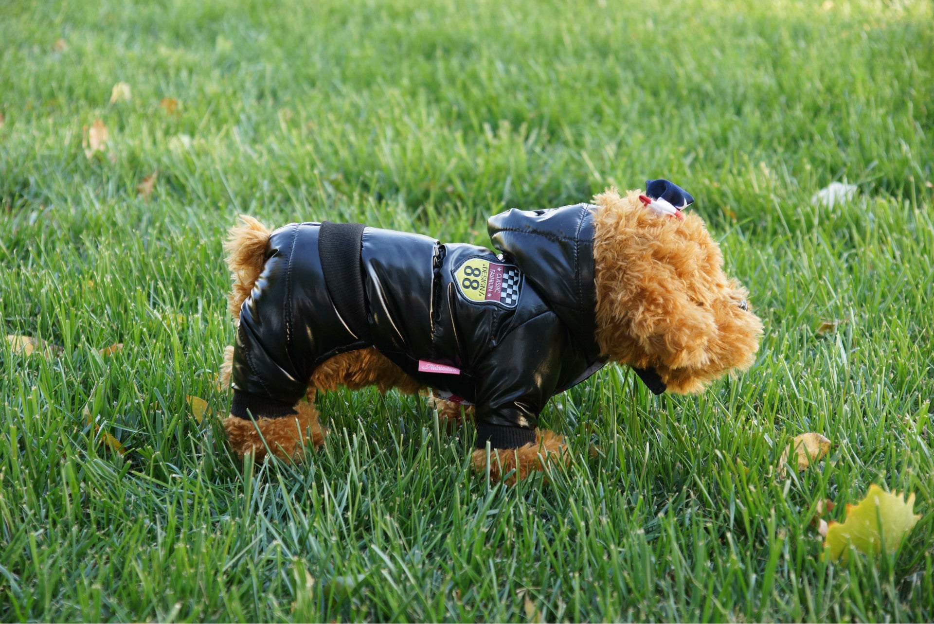 Down and cotton suit for pets