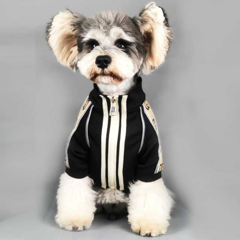 style: Thin section, Size: S - Dog Clothes Spring And Autumn New Sweater