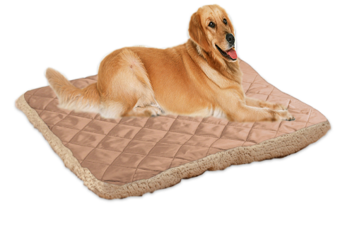 Color: Light coffee, Size: 100X80cm - Pet ice silk cushion