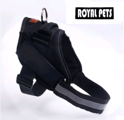 Color: Black, Size: M-D, style:  - Pet chest back chest strap explosion-proof dog leash big dog set pet supplies
