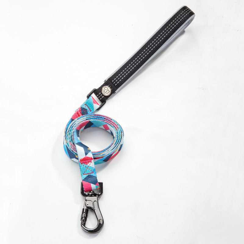 style: 5style, Size: L - Pet supplies dog leash