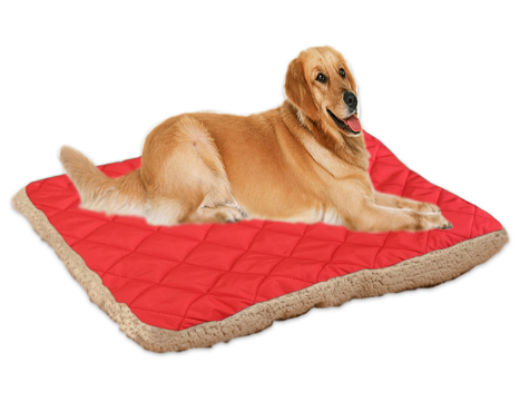 Color: Red, Size: 76X59cm - Pet ice silk cushion