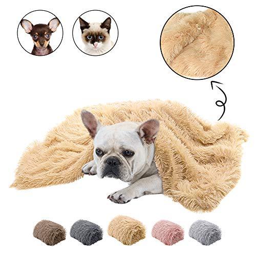 Color: Apricot, Size: M - Plush pet mat double pet blanket
