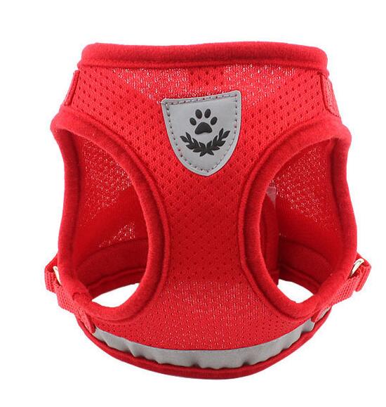 Color: Red, Size: XS - Dog Harness And Leash Set