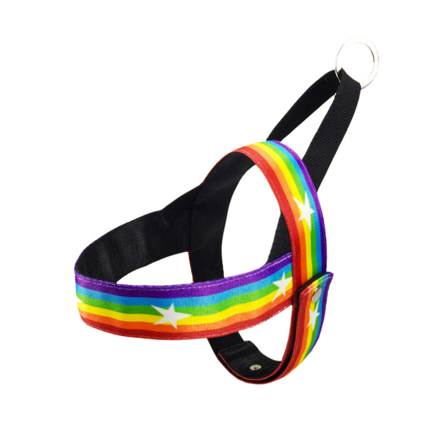 Color: Chest strap M - Rainbow cool dog chain dog leash