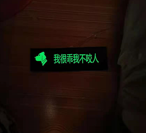 Size: Luminous S - Pet Chest Strap With Reflective Personality Velcro