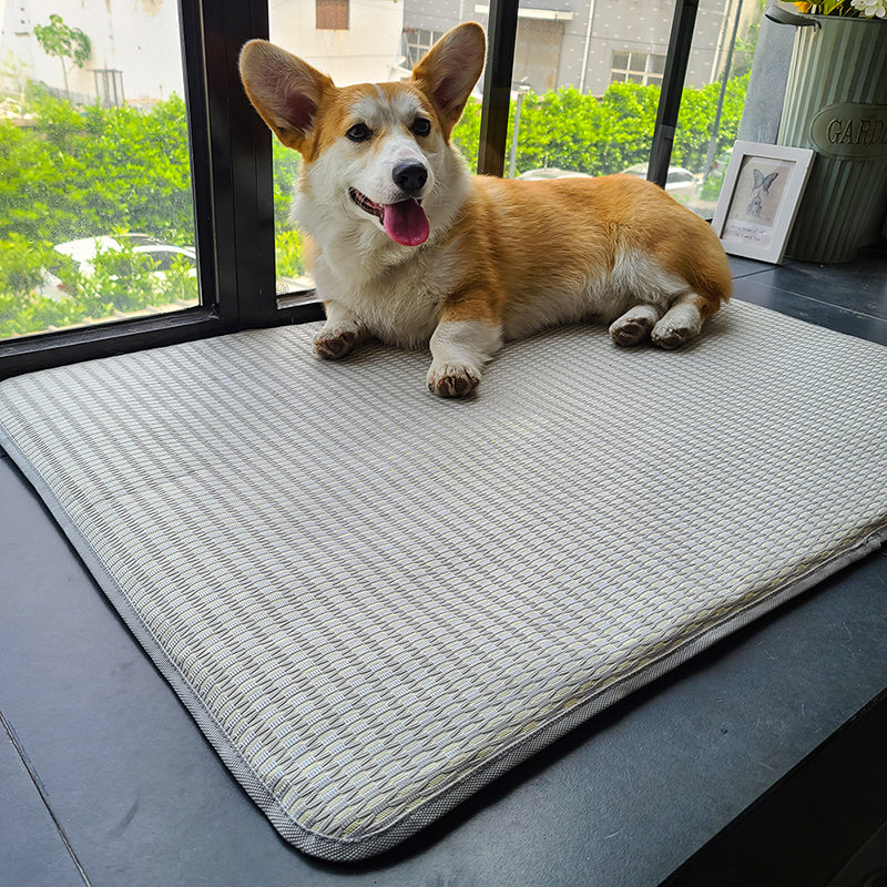 style: C, Size: XL - Dog Mat Sleeping With Pet Mat Summer Mat Anti Bite Mattress Cat Non Stick Hair Ice Mat Dog Mat