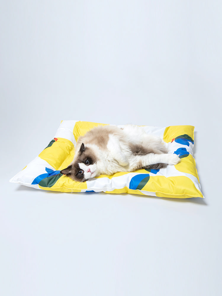 Pet Ice Pad Cooling Pad Gel Cooling Sleeping Pad Non-Sticky Dog Pad