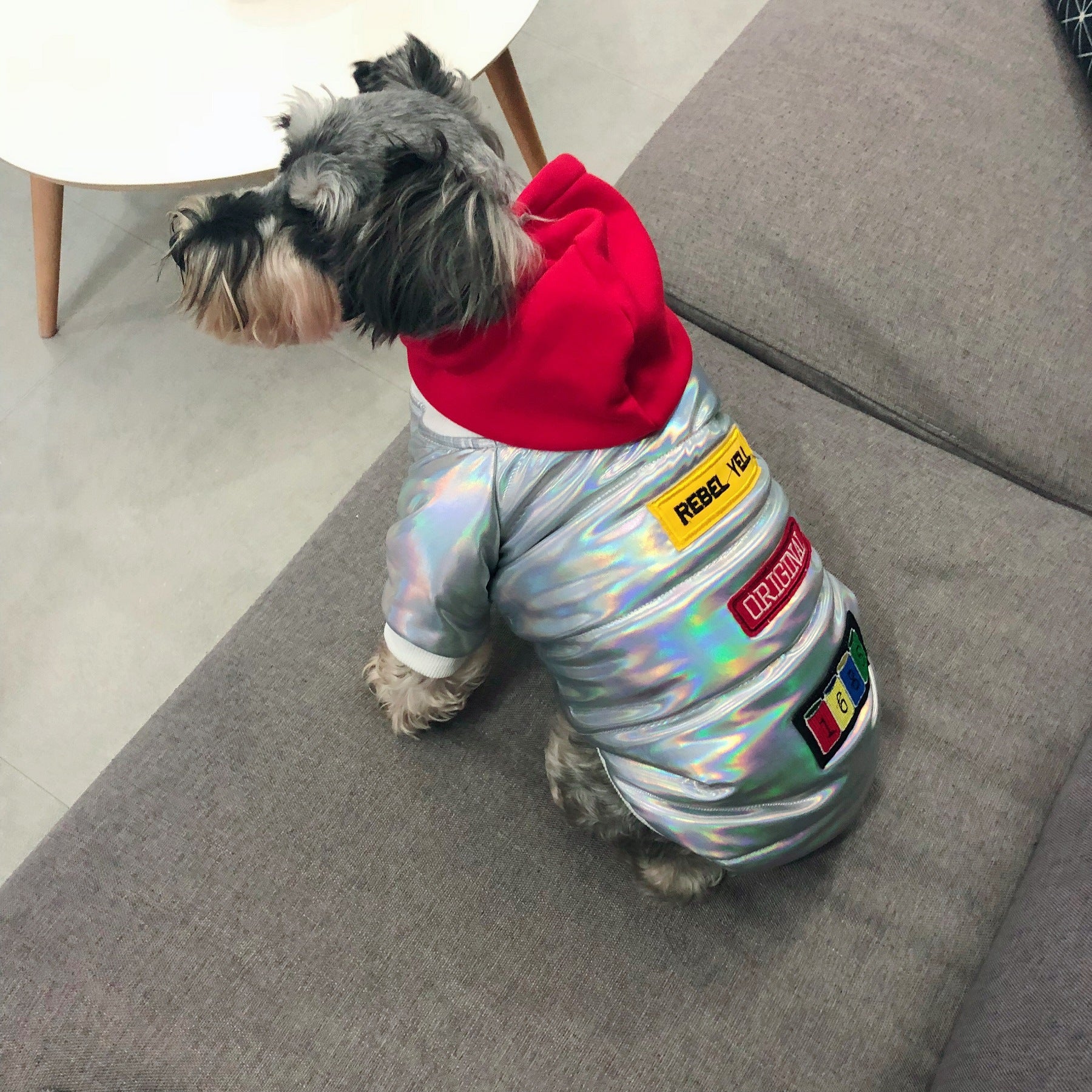 Color: As shown, Size: L - Coat Fighting Teddy Schnauzer Puppy Puppy Fall Winter