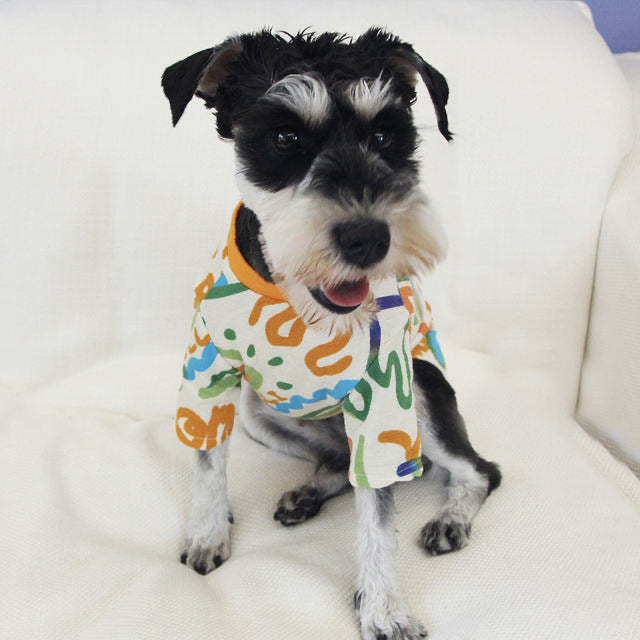 Pet Sweater Spring And Summer Household Dog Clothes