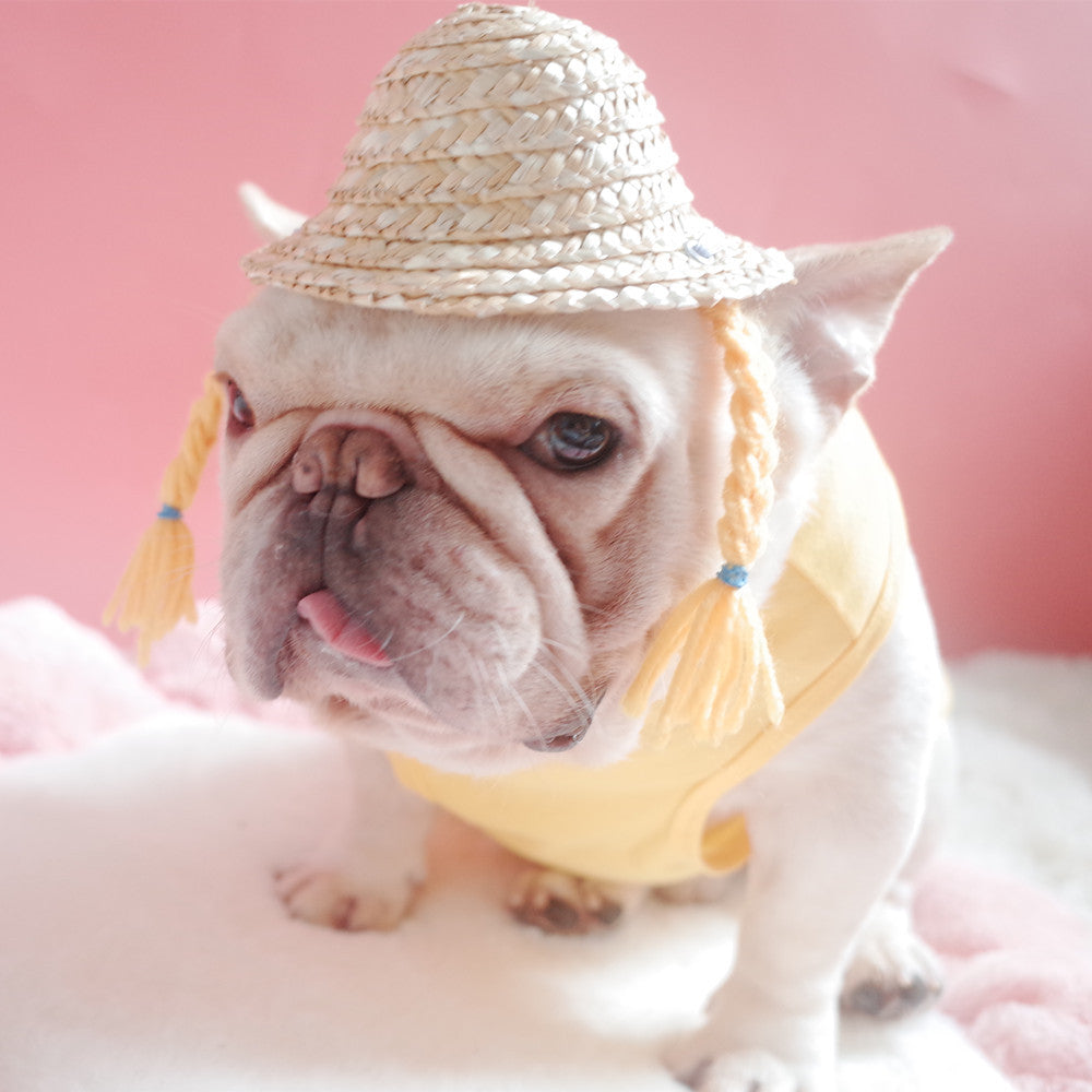 Dog Double Braid Straw Hat, Cat Hat, French Braided Hat