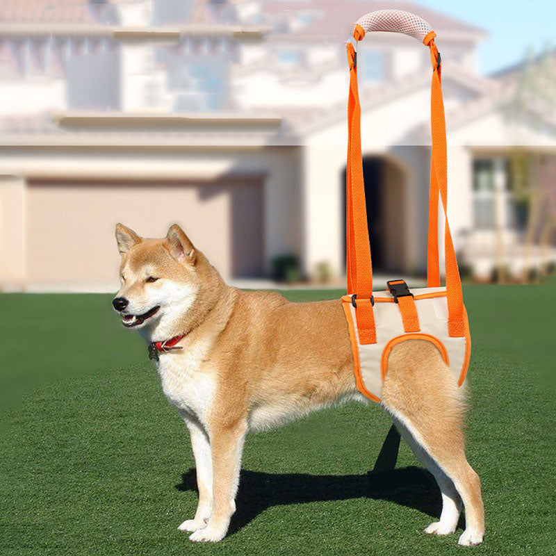 Color: Orange, Size: XL - Adjustable Dog Lift Auxiliary Harness Hind Legs Pet Support Brace Sling Help Weak Legs Stand Up Senior Dogs Aid Assist Tool