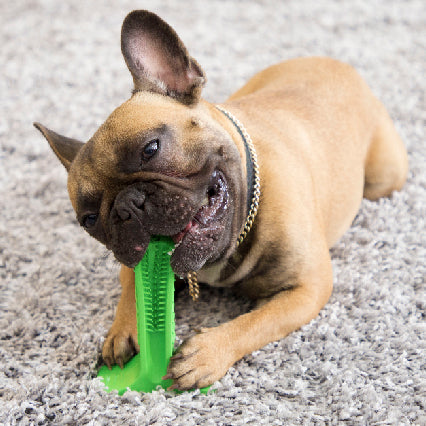 Size: M, Color: Transparent - Silicone Pet Toothbrush Dog Tooth Stick Brush