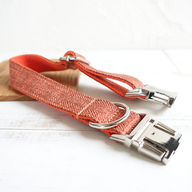 Large dog collar pet teddy