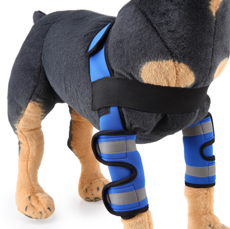 Color: Blue grey, Size: M - Pet  Dog Knee Pads Support Brace 1pair