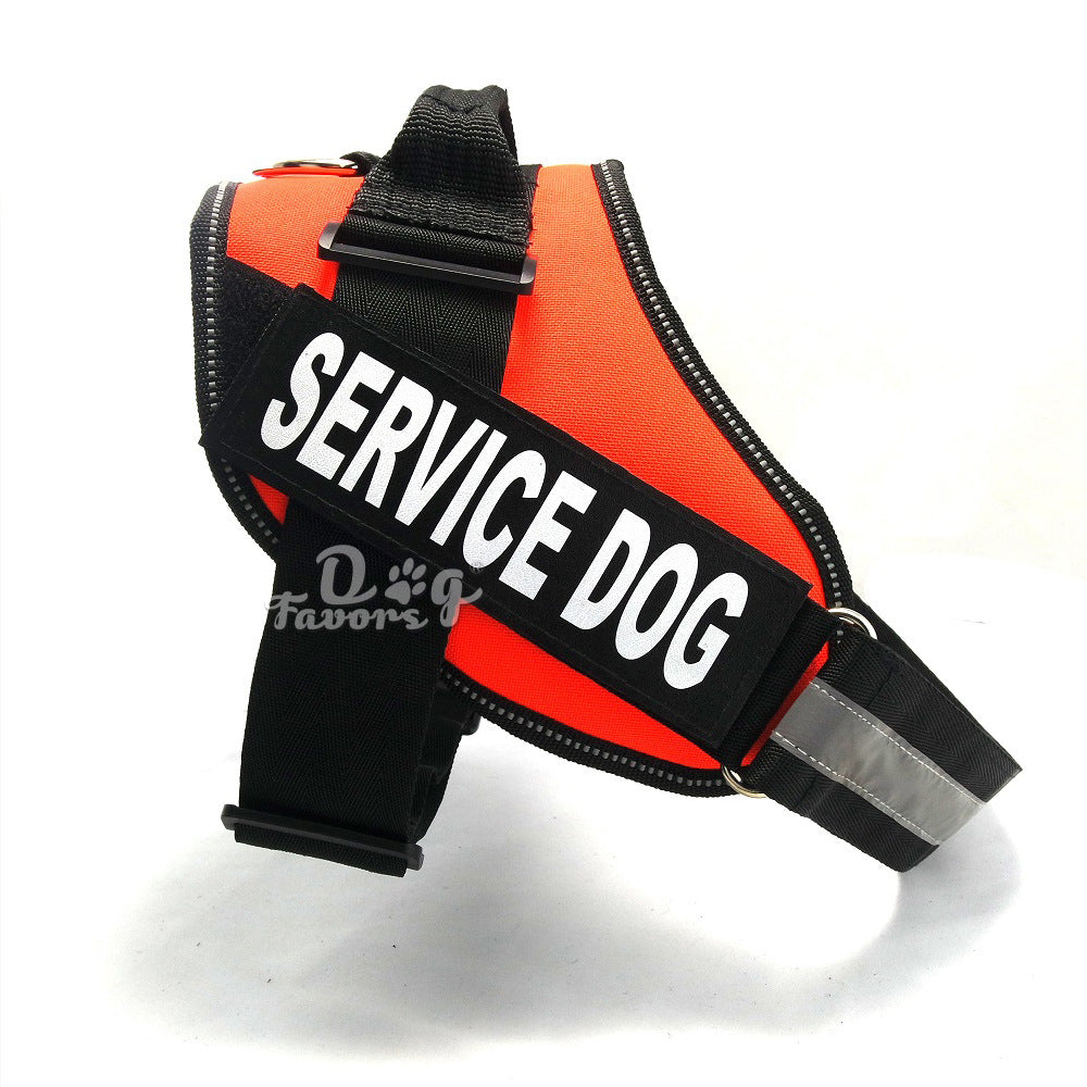 Size: XS, Color: ORANGE - Chest strap