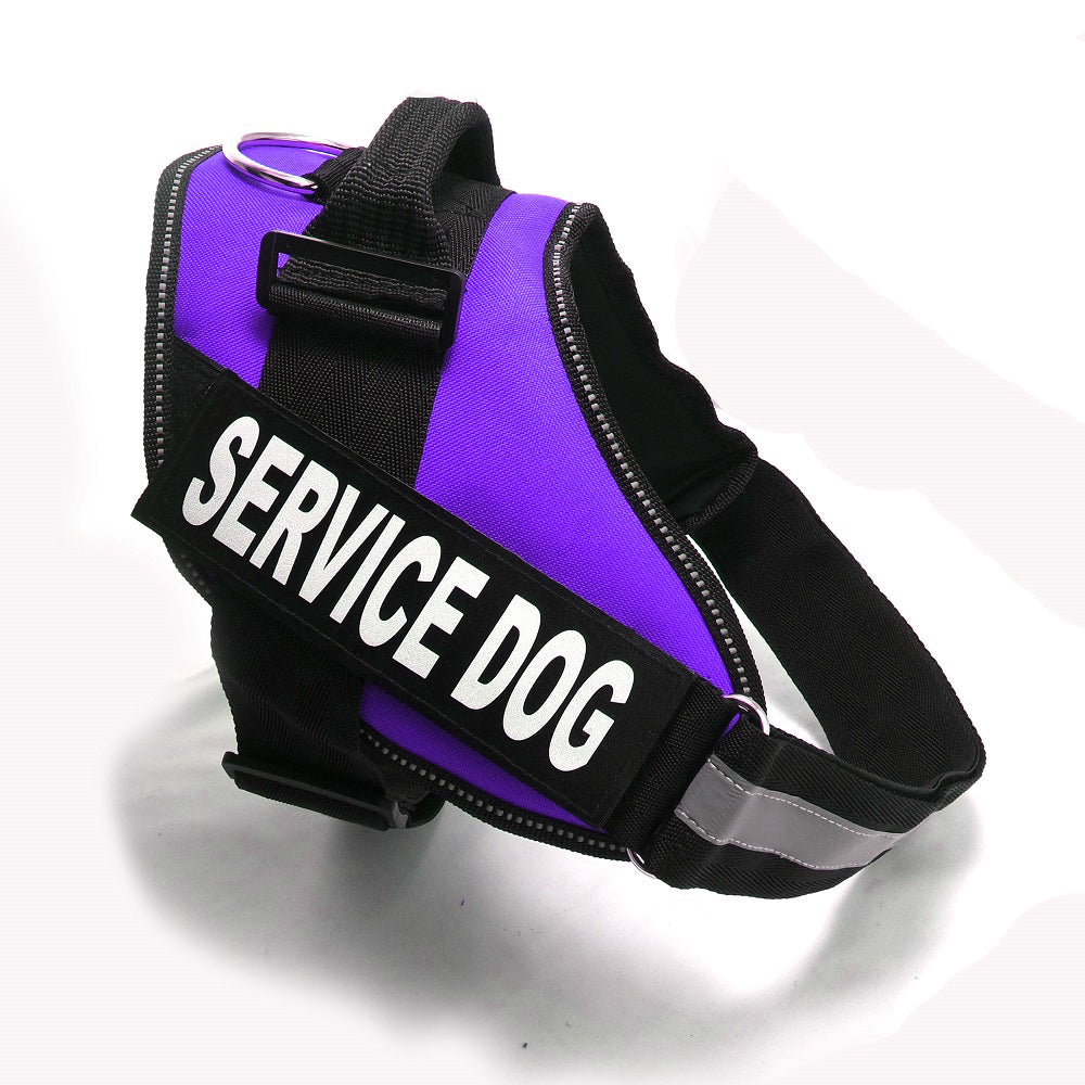 Size: XS, Color: PURPLE - Chest strap