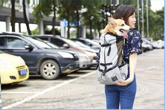 format: L, Color: gray - Ventilated And Breathable Pet Backpack