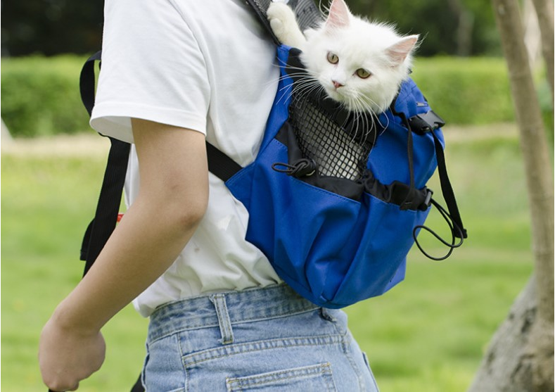 format: L, Color: Blue - Ventilated And Breathable Pet Backpack