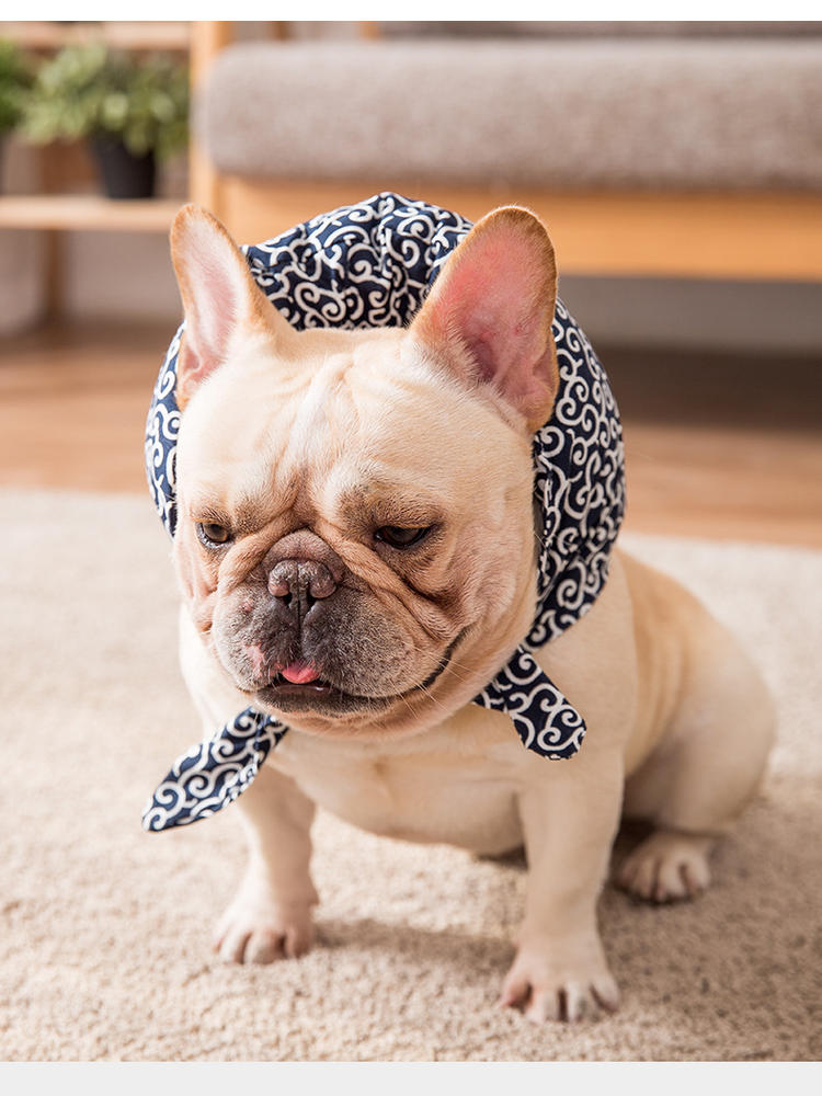 Color: Blue, Size: M - Sell cute pillow scarf pet