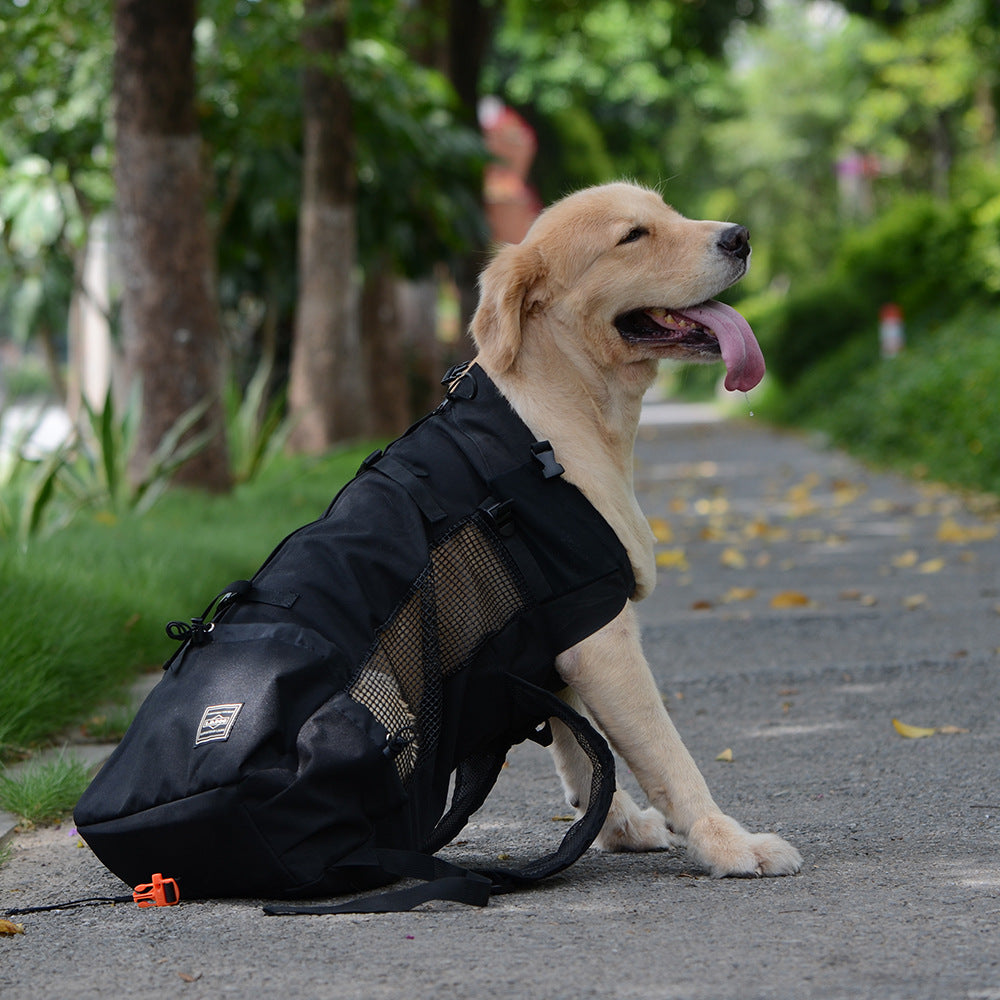 format: L, Color: black - Ventilated And Breathable Pet Backpack