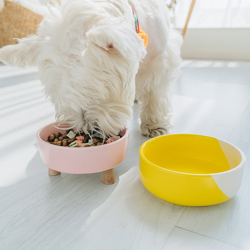 Dog cat ceramic bowl