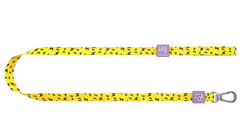 Pet cat and dog leash