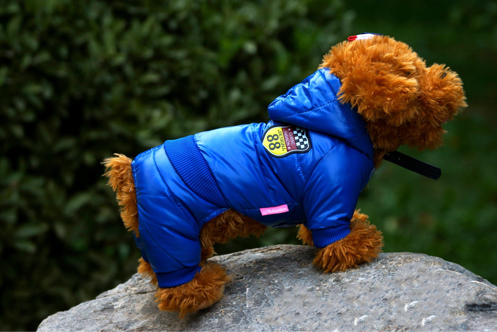Down and cotton suit for pets