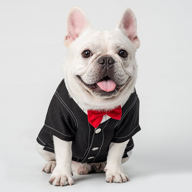 Pet supplies cat dog clothes