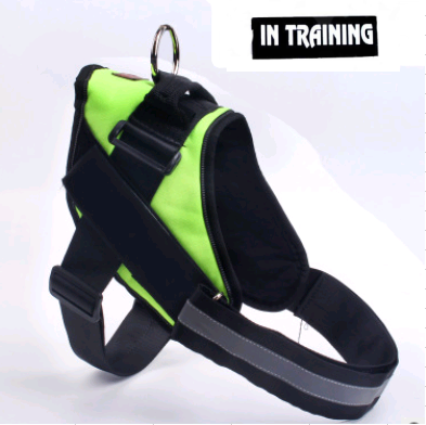 Color: Green, Size: L-B, style:  - Pet chest back chest strap explosion-proof dog leash big dog set pet supplies
