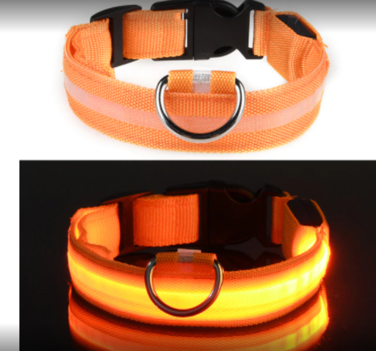 Color: Orange, Size: S - Fiber Optic Waterproof Magnetic Charging Pet Collar