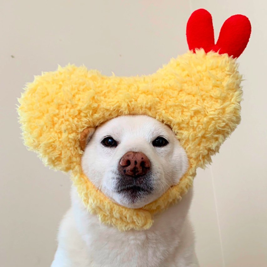Color: Yellow, Size: Small - Tempura hat fried shrimp headgear