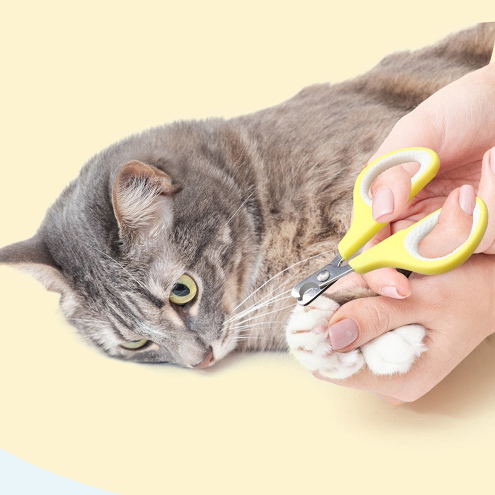 Pet Cats Dogs Mini Comb Set With Nail Scissors Hair Removal Brush Grooming Tool Pet Supplies For Shedding