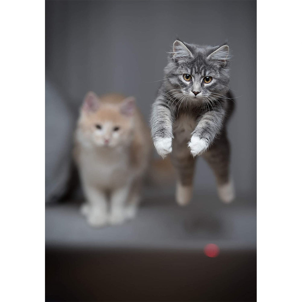 Metal Funny  Cat  Stick With Usb Rechargeable Led Projection Pattern Multi-pattern Red Light Green Light Switchable Pet Interactive Toy 5-in-1
