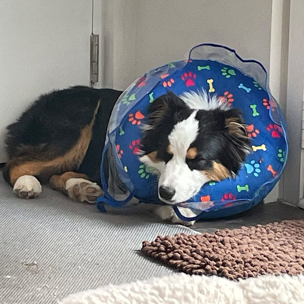 Pet Inflatable Cone Anti-bite Anti-lick Elizabethan Collars Protective Headgear For Stop Licking Biting Wounds blue XL