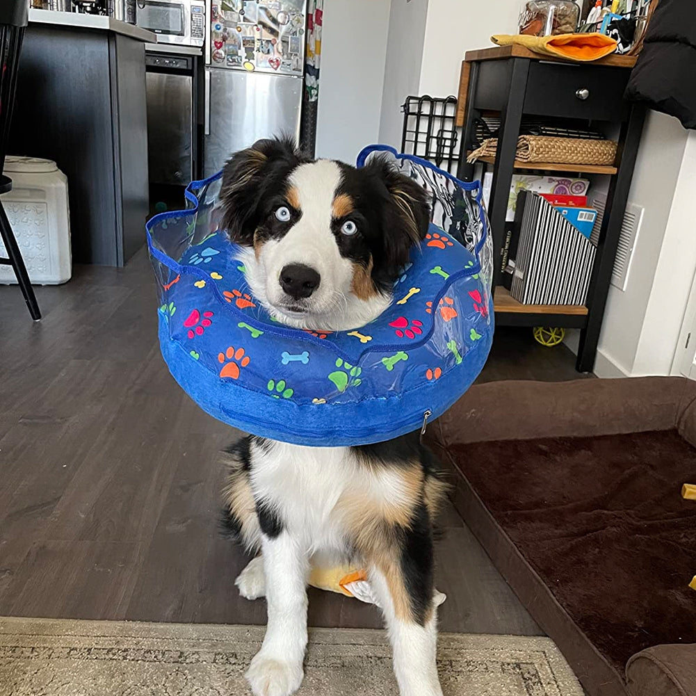 Pet Inflatable Cone Anti-bite Anti-lick Elizabethan Collars Protective Headgear For Stop Licking Biting Wounds blue M