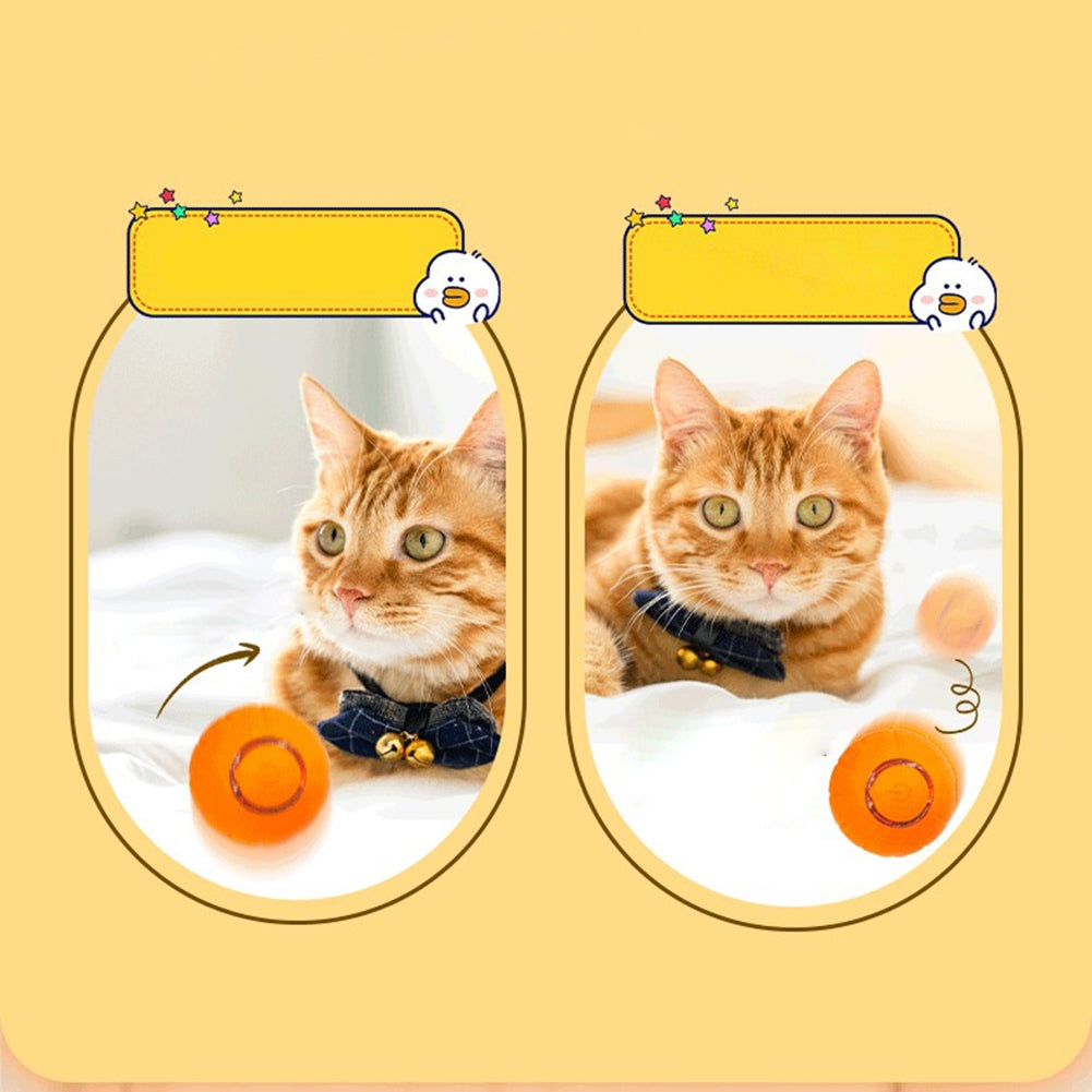 Pet Cats Smart Automatic Rolling Ball Bite-resistant Usb Charging Glowing Training Interactive Toys orange red
