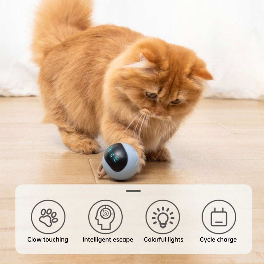Pet Cat Ball Toys Electric Intelligent Automatic Interactive Usb Rechargeable Kitten Exercise Toys blue