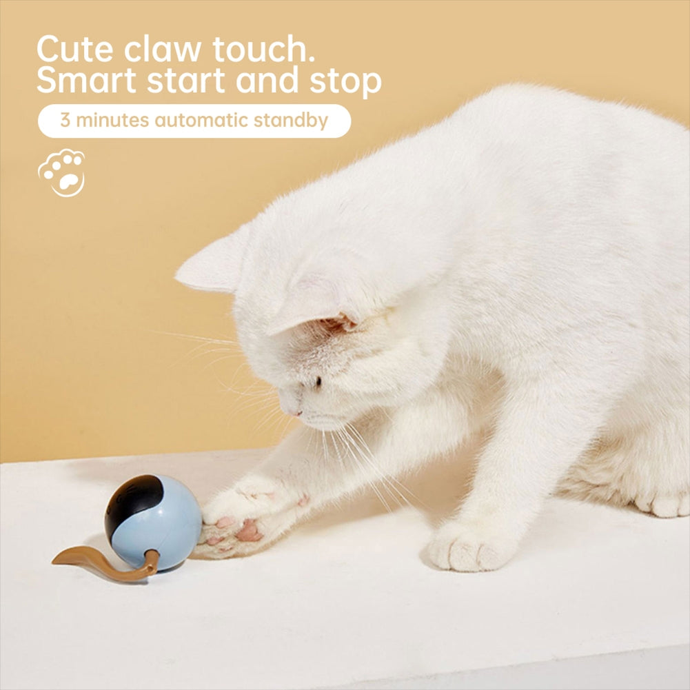 Pet Cat Ball Toys Electric Intelligent Automatic Interactive Usb Rechargeable Kitten Exercise Toys blue