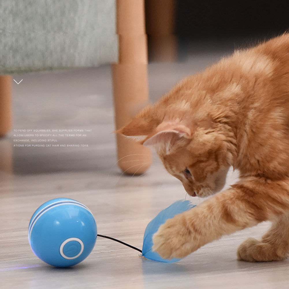 LED Teaser Ball with Replacement Head Electric Cat Toys for Pet gray