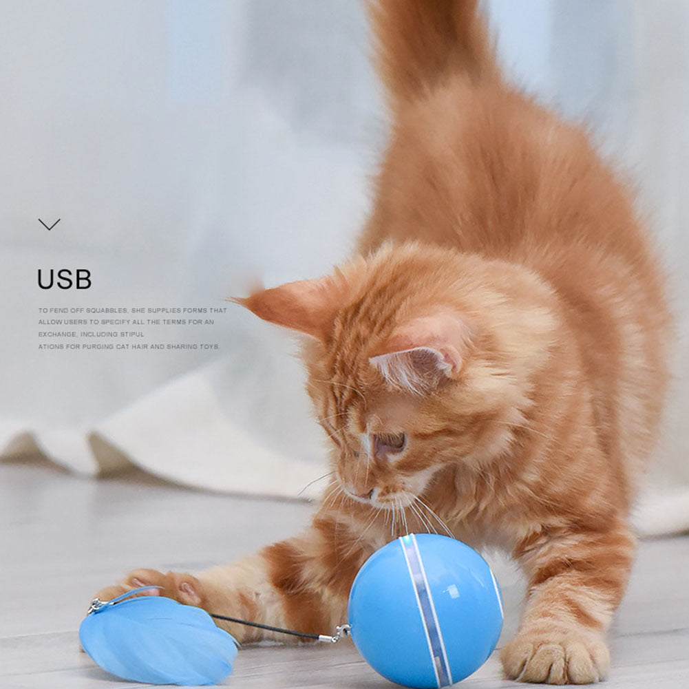 LED Teaser Ball with Replacement Head Electric Cat Toys for Pet gray