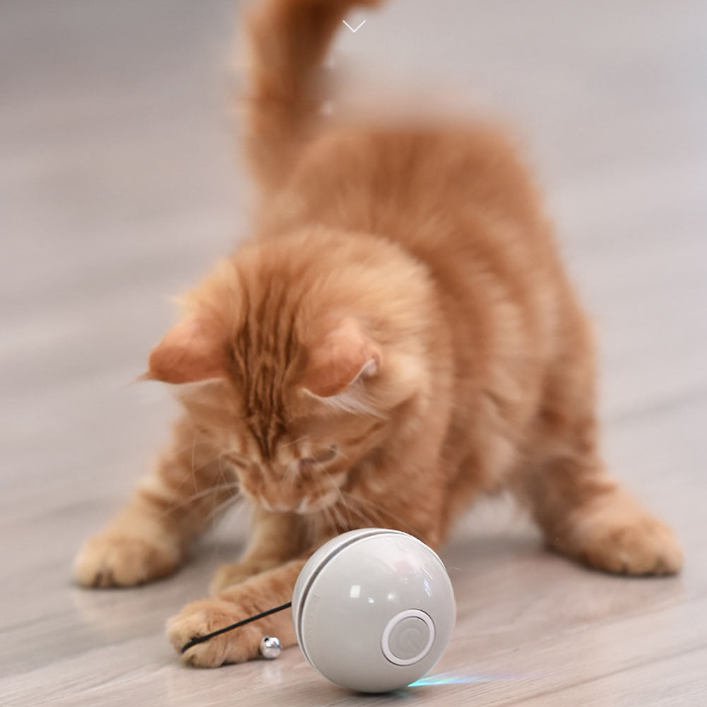 LED Teaser Ball with Replacement Head Electric Cat Toys for Pet white