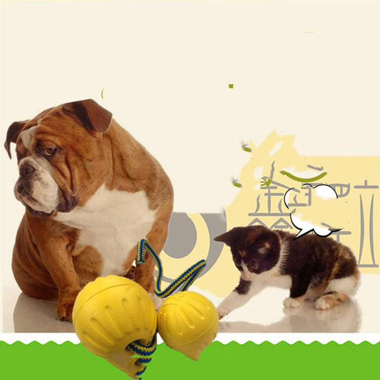 style: Solid ball trumpet without rop - EVA Floating Pet Dog Training  Ball Puppy Bite Resistant Ball With Rope Pet Training Ball Chew Toys For Pet Supplies