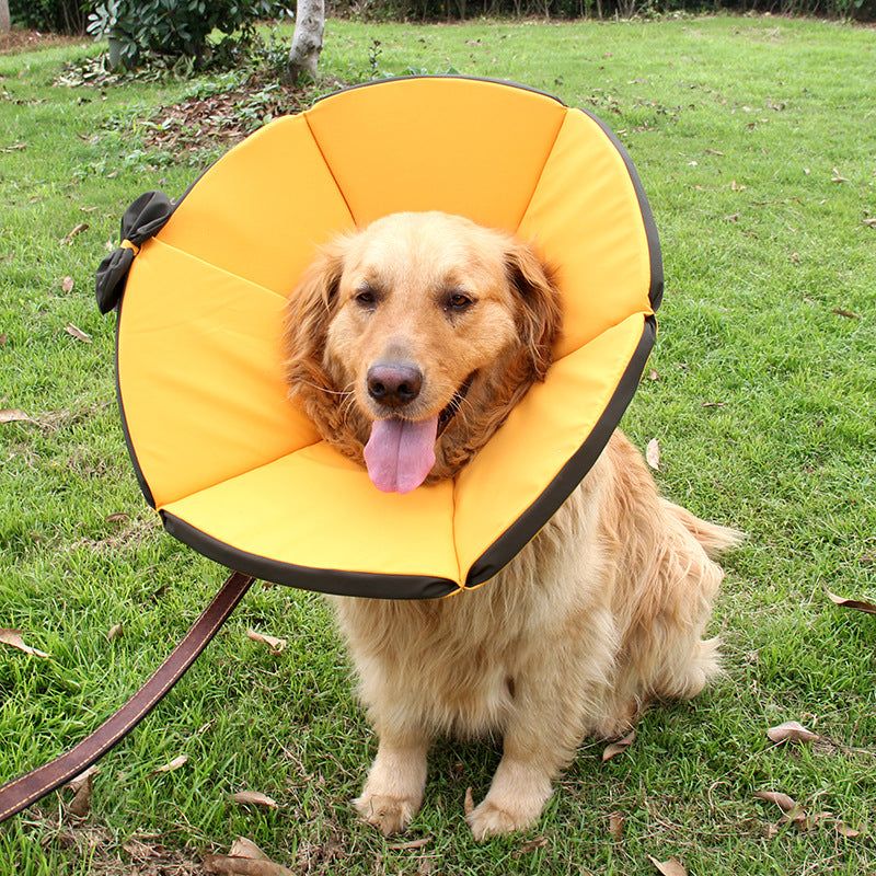 Color: Yellow, Size: XL - Pet Supplies Dog Sick Care Collar